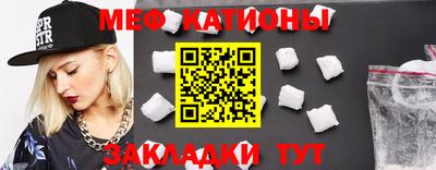 шишки Дубна