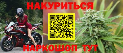 шишки Дубна