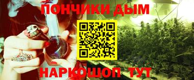 шишки Дубна