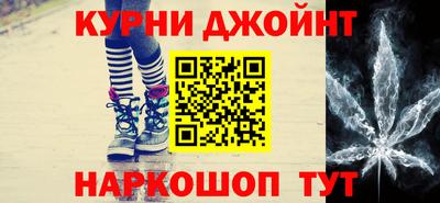 шишки Дубна