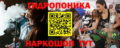шишки Дубна
